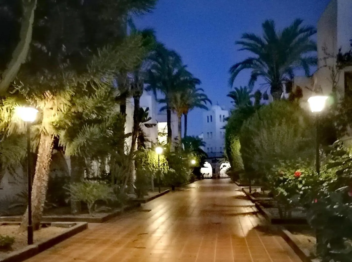 Apartamento Torrelaguna Las Marinas Vera